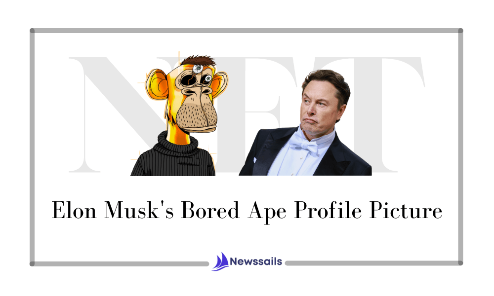 Elon Musk's Bored Ape Profile Picture- News Sails